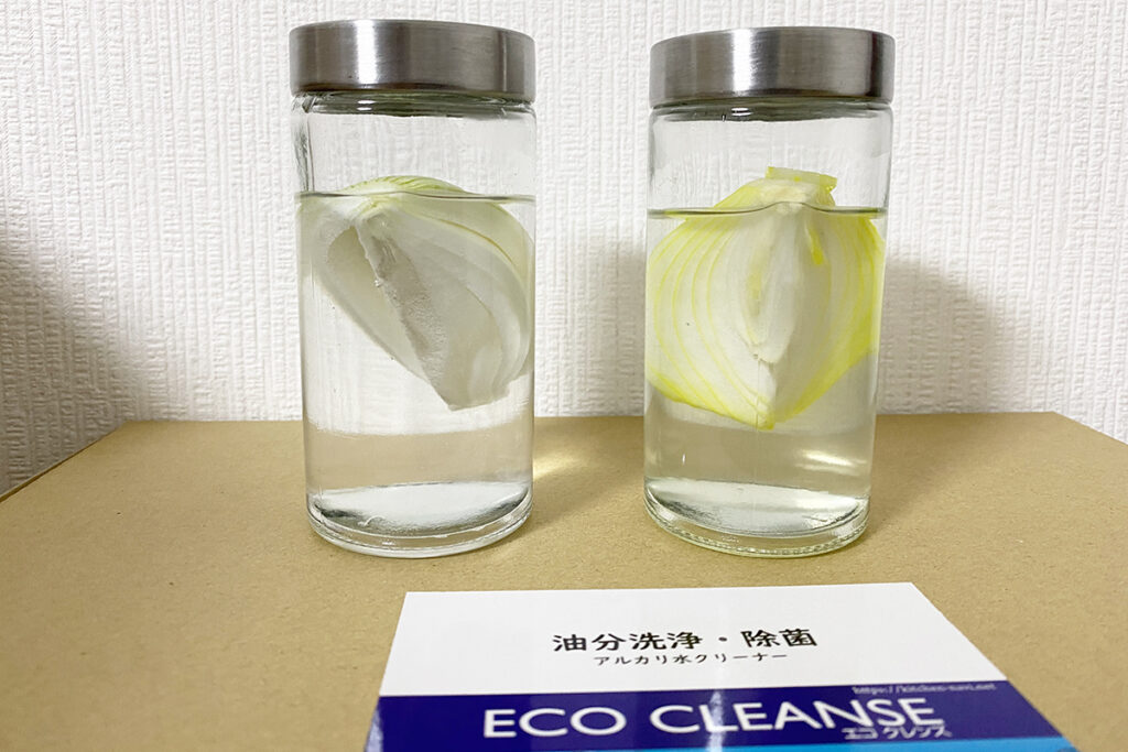 ECO CLEANSE